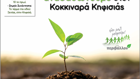 Δενδροφύτευση στον Κοκκιναρά Πεντέλης την Κυριακή 23 Ιανουαρίου