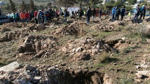 Δενδροφύτευση στην Πεντέλη, το Σάββατο 3 Δεκεμβρίου