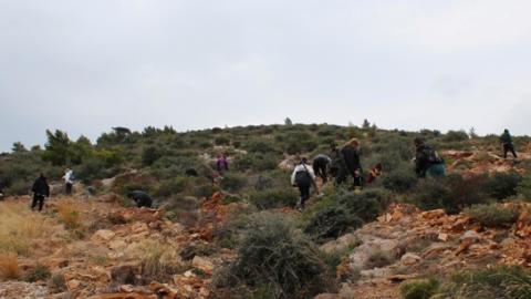 Δενδροφύτευση στην Πεντέλη, την Κυριακή 5 Φεβρουαρίου